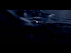 D6S ((con serbatoio)